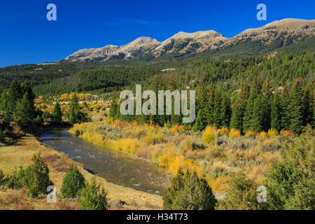 oberen Ruby River im Herbst unter dem Snowcrest Bereich in der Nähe von Erle, montana Stockfoto