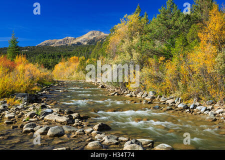 oberen Ruby River im Herbst unter dem Snowcrest Bereich in der Nähe von Erle, montana Stockfoto