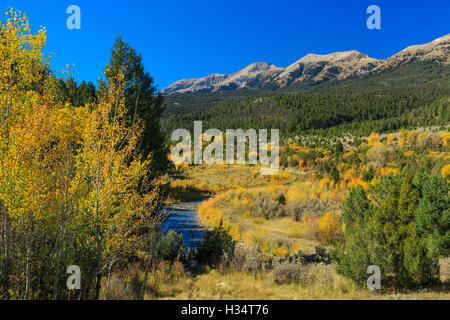 oberen Ruby River im Herbst unter dem Snowcrest Bereich in der Nähe von Erle, montana Stockfoto