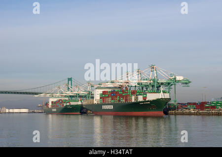 Immergrüne (je Waage und Ever Strong) Container-Schiffe im Hafen von Los Angeles. Stockfoto
