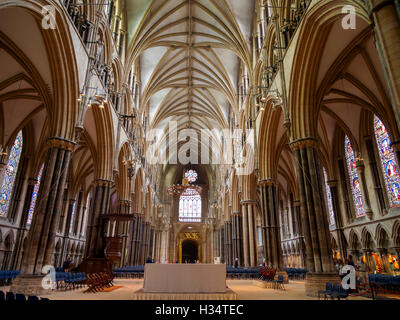 Lincoln Kathedrale, das Kirchenschiff Stockfoto