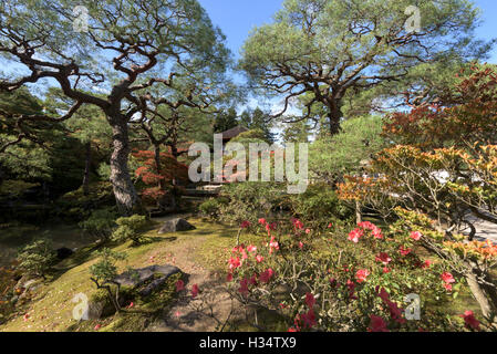 Kyoto, Japan - 11. November 2015: Ginkakuji Tempel und Garten Kyoto, Japan. Stockfoto