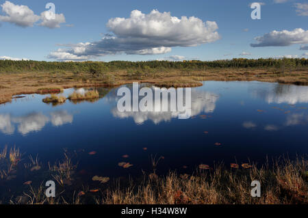 Soomaa Nationalpark. Riisa Moor, Grafschaft Pärnu, Estland, Europa Stockfoto