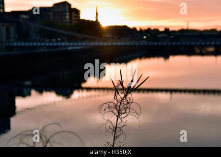 Glasgow, Schottland. 4. Oktober 2016. UK-Wetter. Carlton Hotel Hängebrücke bei Sonnenaufgang Credit: Tony Clerkson/Alamy Live News Stockfoto