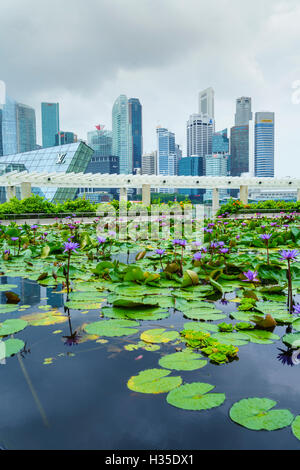 Seerose Garten vom ArtScience Museum mit Skyline der Stadt darüber hinaus, Marina Bay, Singapur Stockfoto