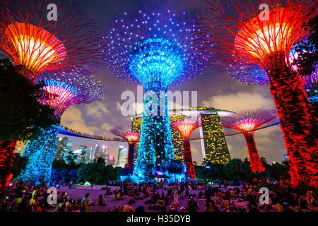 SuperTree Grove in den Gärten durch die Bucht, eine futuristische Botanischer Garten und Park, Nachtbeleuchtung, Marina Bay, Singapur Stockfoto