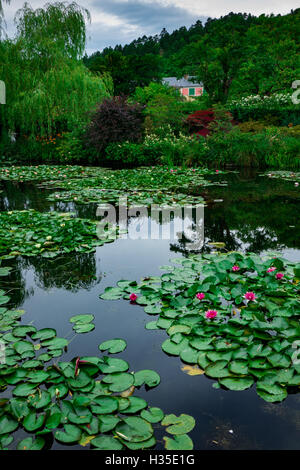 Waterlies vor Haus von Monet, Giverny, Normandie, Frankreich Stockfoto