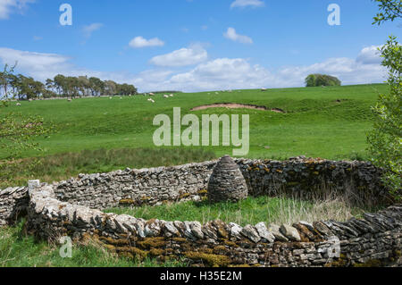 Raisbeck gebunden Kegel, Eden Valley, Cumbria, England, UK Stockfoto