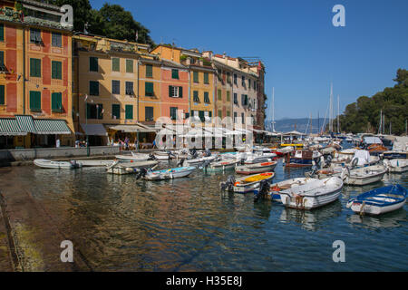 Hafen von Portofino, Genova (Genua), Ligurien, Italien Stockfoto