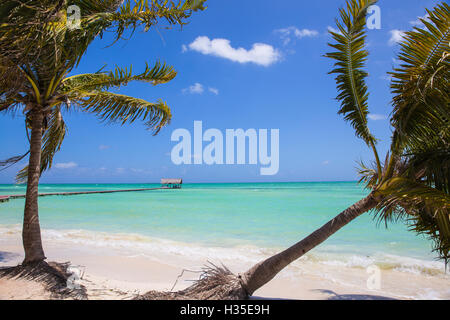 Playa El Paso, Cayo Guillermo, Jardines del Rey, Ciego de Avila Provinz, Kuba, West Indies, Karibik Stockfoto