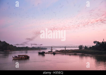 Fledermäuse schwärmen aus der Fledermaushöhle bei Sonnenuntergang, Hpa, Kayin Zustand (Karen), Myanmar (Burma) Stockfoto
