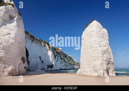 Pizzomunno Felsen, Castello Beach, Vieste, Gargano, Provinz Foggia, Apulien, Italien Stockfoto