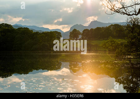 Sonnenuntergang am Loughrigg Tarn in der Nähe von Ambleside in The Lake District National Park, Cumbria, England, UK Stockfoto