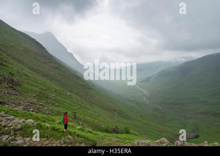 Auf der Suche nach unten Mickeldon Tal in Richtung Great Langdale im Lake District National Park, Cumbria, England, UK Stockfoto