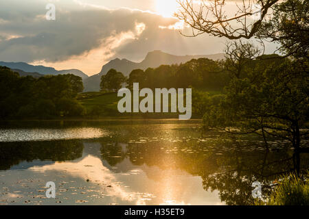 Sonnenuntergang am Loughrigg Tarn in der Nähe von Ambleside, Nationalpark Lake District, Cumbria, England, UK Stockfoto