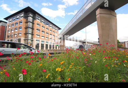 Verkehr geht eine schöne städtische Wildblumenwiese am Kreisverkehr Park Square im Stadtzentrum von Sheffield Yorkshire England UK Stockfoto