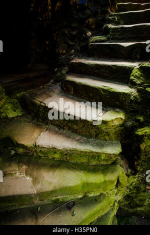 Eine Treppe im Dirleton Castle, einer zerstörten mittelalterlichen Burg im Dorf Dirleton, East Lothian, Schottland. Stockfoto