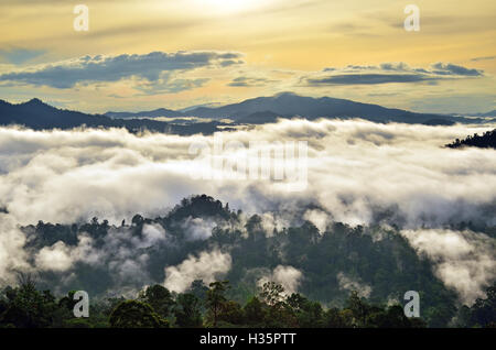Sonnenaufgang mit Nebel und Dunst über Regenwald im Danum Valley Naturschutzgebiet in Lahad Datu, Sabah, Borneo, Malaysia. Stockfoto