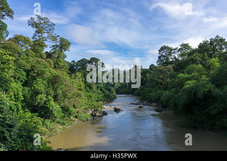 Segama Fluss flankiert von der ungestörten Tiefland Dipterocarp Wald im Danum Valley Conservation Area Sabah Borneo, Malaysia. Dan Stockfoto