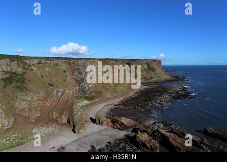 Küste zwischen lunan Bucht und auchmithie Angus Schottland Oktober 2016 Stockfoto