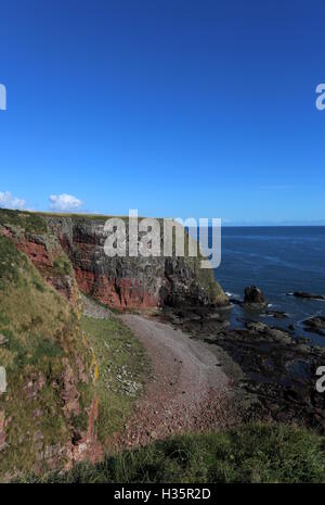 Küste zwischen lunan Bucht und auchmithie Angus Schottland Oktober 2016 Stockfoto