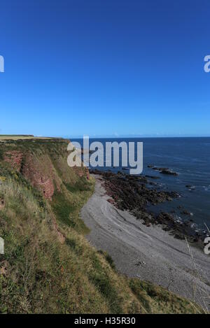 Küste zwischen lunan Bucht und auchmithie Angus Schottland Oktober 2016 Stockfoto