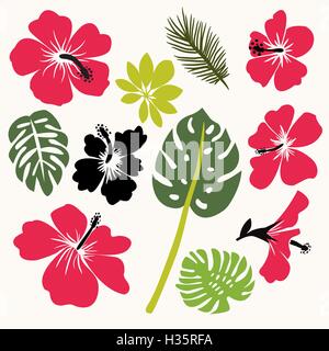 Satz von tropischen Blättern und Blüten Stock Vektor