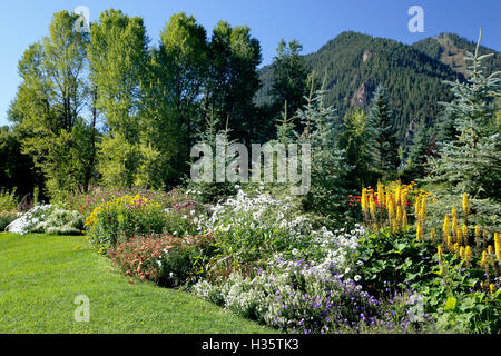 Berge Blumen Und Baumen John Denver Sanctuary Aspen Colorado Usa Stockfotografie Alamy