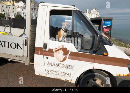 Hund suchen aus einem Pick-up Kabine mit heißen Zeichen, Llandudno, Wales, UK Stockfoto