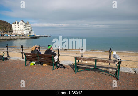 Mann und Frau sitzen auf Bank beobachtet von einer Silbermöwe, Llandudno, Conwy, Wales, UK Stockfoto