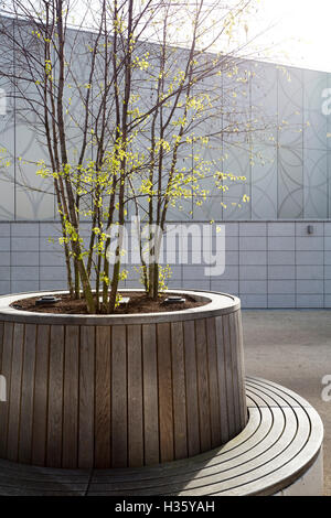 Formale Baumpflanzung im Inneren eine Runde Sitzbank. Stockfoto