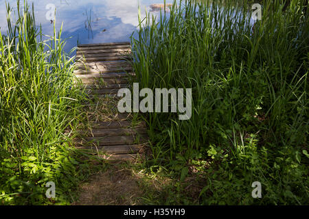Ruhiger Fluss oder Teich mit Holzsteg und Schilf. Stockfoto