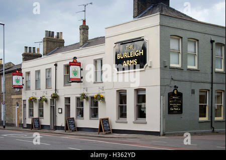 Die Burleigh Arme eine Gastwirtschaft in Cambridge, UK Stockfoto