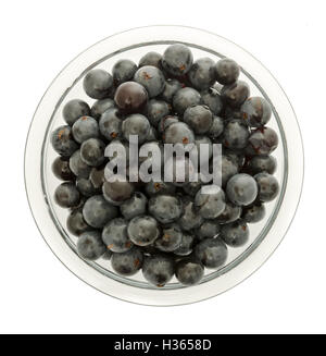 Concord Trauben von oben auf einen isolierten Hintergrund gedreht. Stockfoto