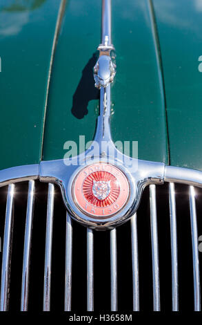 Laguna Beach, CA, USA - 2. Oktober 2016: Green 1958 Jaguar XK 150 Hathaway im Besitz und in der Rotary Club Laguna B angezeigt Stockfoto