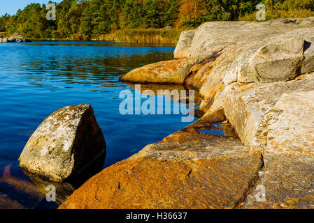 Felsige Küste im Herbst mit windstillen Meer und Licht des frühen Morgens. Stockfoto