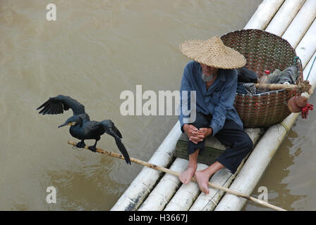 Ein alter Fischer sitzt auf seinem Bambusfloß mit seinem Kormoran Begleiter auf dem Li-Fluss in Yangshuo, Guangxi, China. Stockfoto