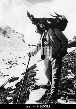 Hunter in Gams Jagd, 1936 Stockfoto