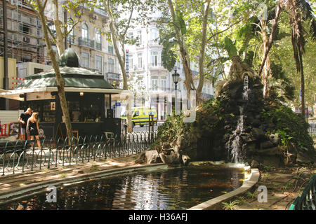 Baum schattierten Teich Avenida da Liberdade-Lissabon-Portugal Stockfoto