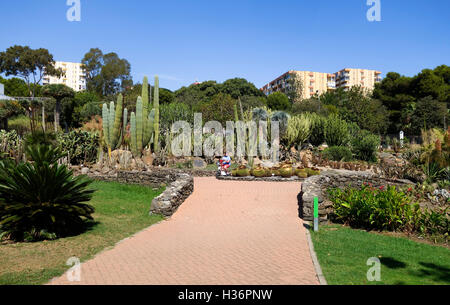 Der Kaktusgarten in Parque Paloma, Paloma Park, Benalmadena, Spanien. Stockfoto