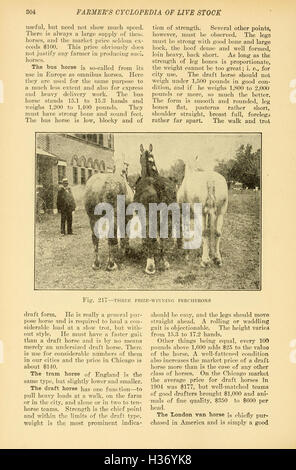 Farmer es Cyclopedia der Viehbestand (Seite 304) BHL237 Stockfoto