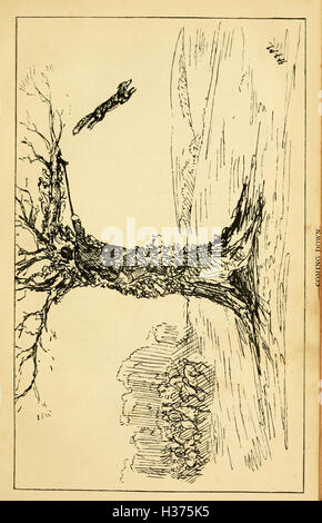 Jagd- und Sportwaffen Notizen in den West Midlands, Saison 1885 / 86 BHL202 Stockfoto