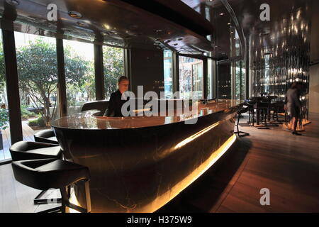 Die Bar des Mandarin Oriental Hotel Paris 8. Paris.France Stockfoto