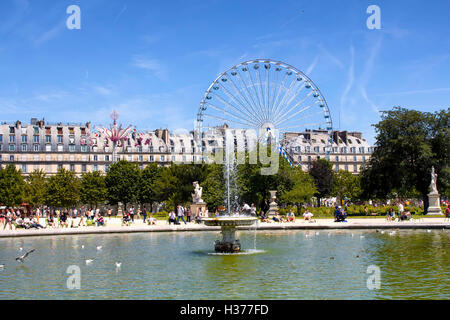 Möwen Schwimmen im Pool im Jardin Des Tuileries in Paris. Riesenrad, Menschen und Gebäude von Park sind in der Ansicht. Stockfoto