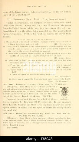 Dieser Text katalogisiert die in Indiana gefundenen Käferarten und bietet detaillierte Beschreibungen und Klassifizierungen für Entomologen und Naturforscher. Stockfoto