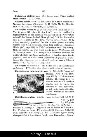 Ein Wörterbuch von Fossilien aus Pennsylvania und den angrenzenden Staaten benannt in den Berichten und Kataloge der Umfrage (Seite 136) BHL424 Stockfoto