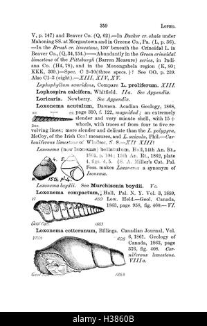 Ein Wörterbuch von Fossilien aus Pennsylvania und den angrenzenden Staaten benannt in den Berichten und Kataloge der Umfrage (Seite 359) BHL424 Stockfoto