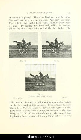 In diesem Text werden die anatomischen Punkte des Pferdes erläutert, wobei der Schwerpunkt auf seiner Körperstruktur und den körperlichen Eigenschaften liegt, die zu seiner allgemeinen Gesundheit und Leistung beitragen. Sie dient als Referenz für Pferdestudien. Stockfoto