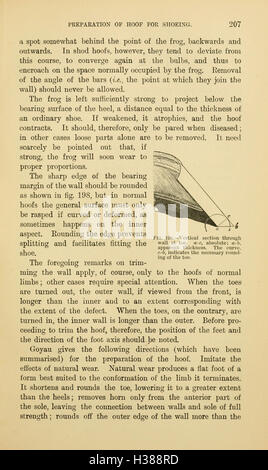 Dieses Handbuch bietet praktische Anleitungen zur Kunst und Wissenschaft des Pferdeschupfens, detaillierte Techniken, Werkzeuge und Schuh-Methoden für verschiedene Rassen. Stockfoto