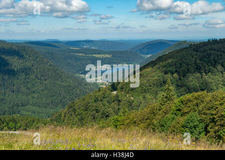 Blick vom in der Nähe von Sommet Hohneck, Les Vosges Sud, Elsass, Frankreich Stockfoto